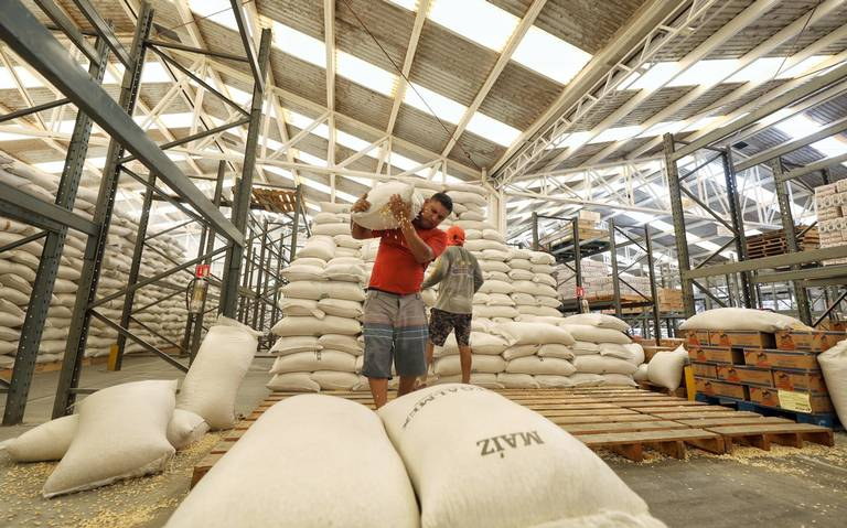 Segalmex envía dos mil toneladas de maíz a Baja California – EL LIBERAL ...