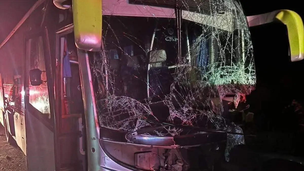 Tragedia en Coyuca de Benítez: Choque deja cinco muertos y 20 heridos ...