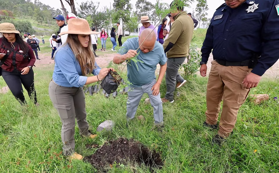 tlalnepantla-se-suma-a-la-cruzada-nacional-por-los-bosques-y-acelera-la-recuperacion-de-sus-areas-verdes-avif