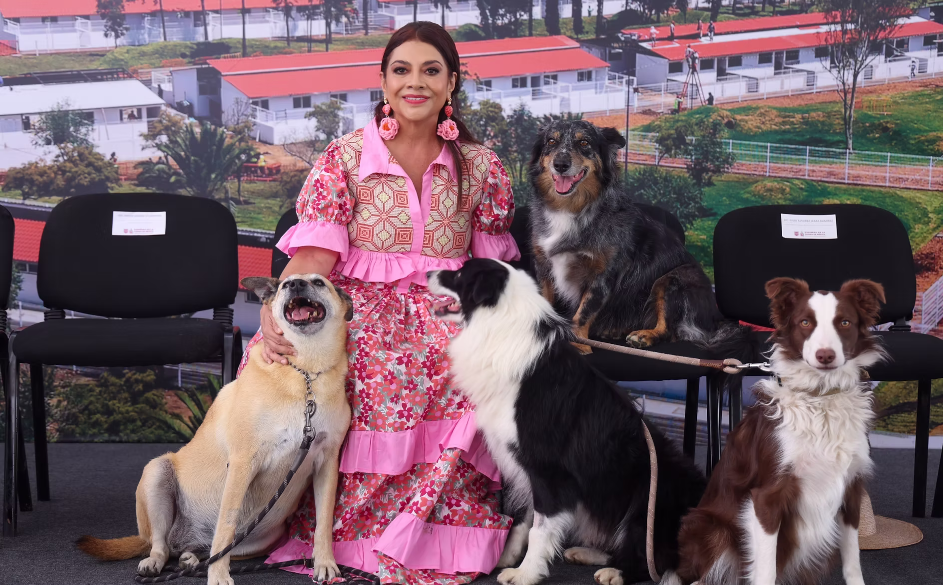 cdmx-abre-el-mayor-centro-de-bienestar-animal-del-pais-con-capacidad-para-600-perros-y-gatos-avif